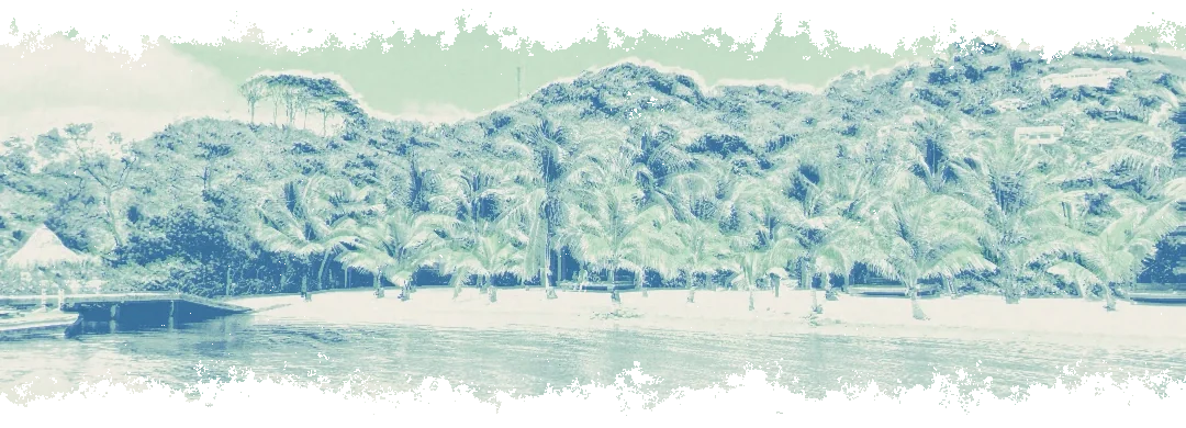 Een strand met palmbomen aan een baai, de overkant van de overtocht.